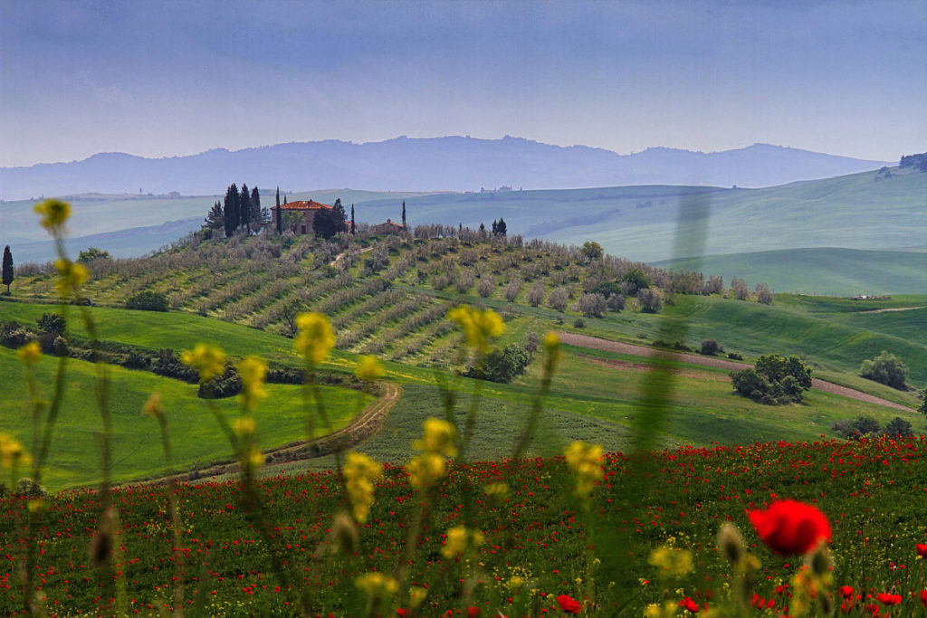 tuscany sunset roberta campani